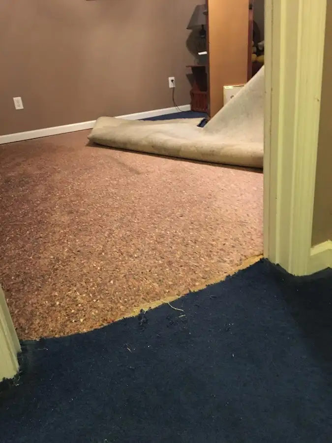 Carpet pad removal revealing water damage during Drying & Dehumidification in Pea Ridge