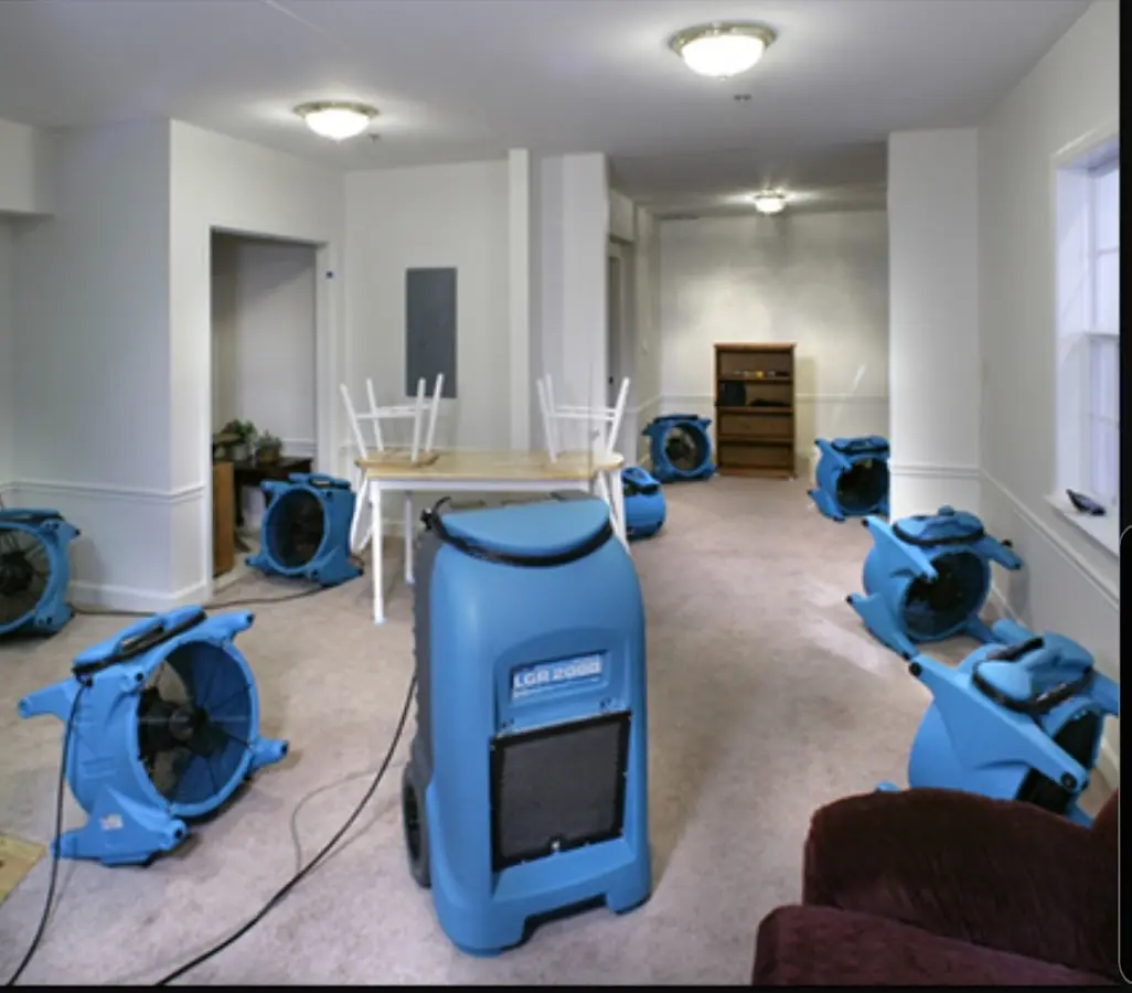 Air movers and dehumidifier setup for Water Extraction & Removal in Pea Ridge