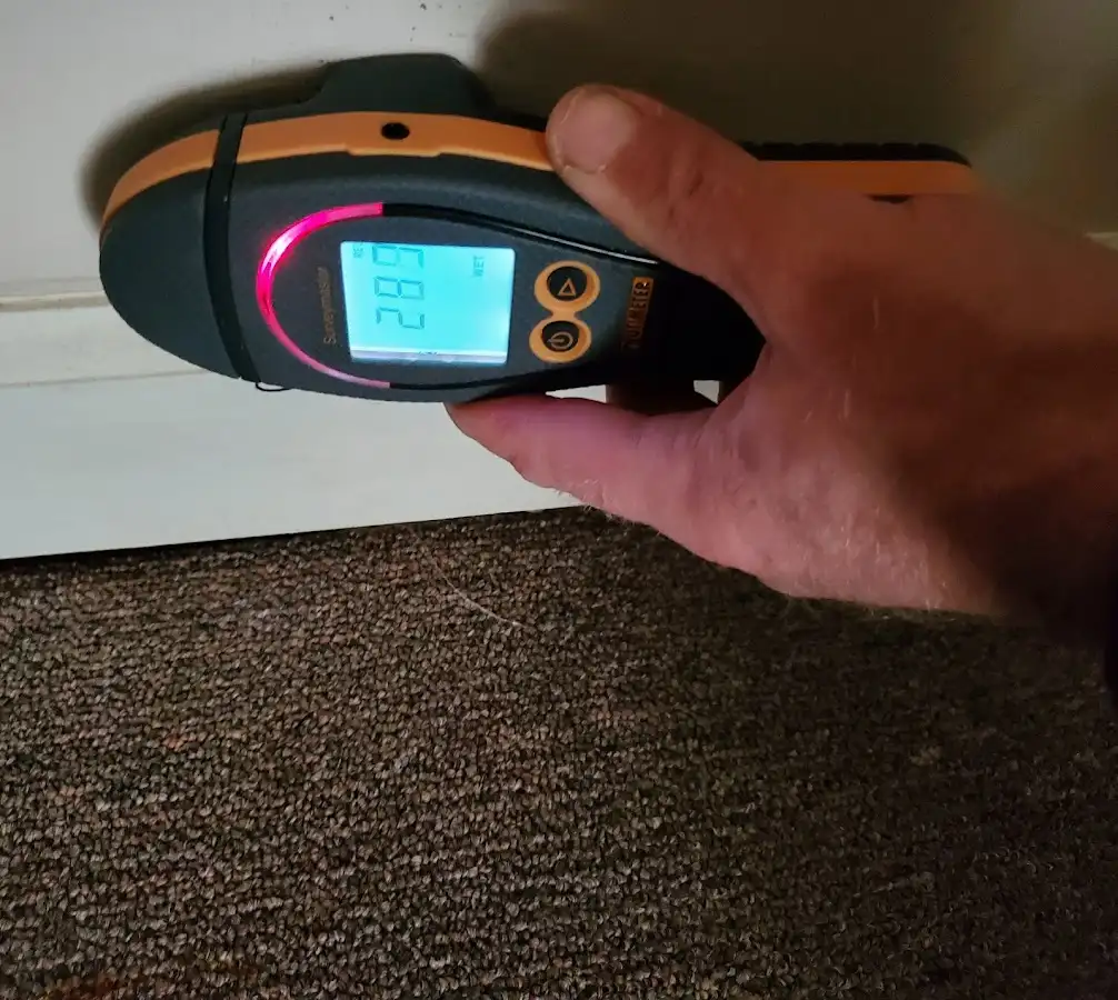 Moisture detection at baseboard during Burst Pipe Cleanup in Pea Ridge